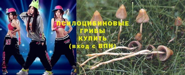 твердый Нестеровская
