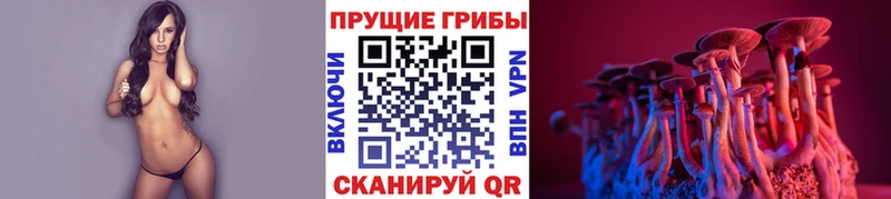 купить   Снежинск  Галлюциногенные грибы мицелий 